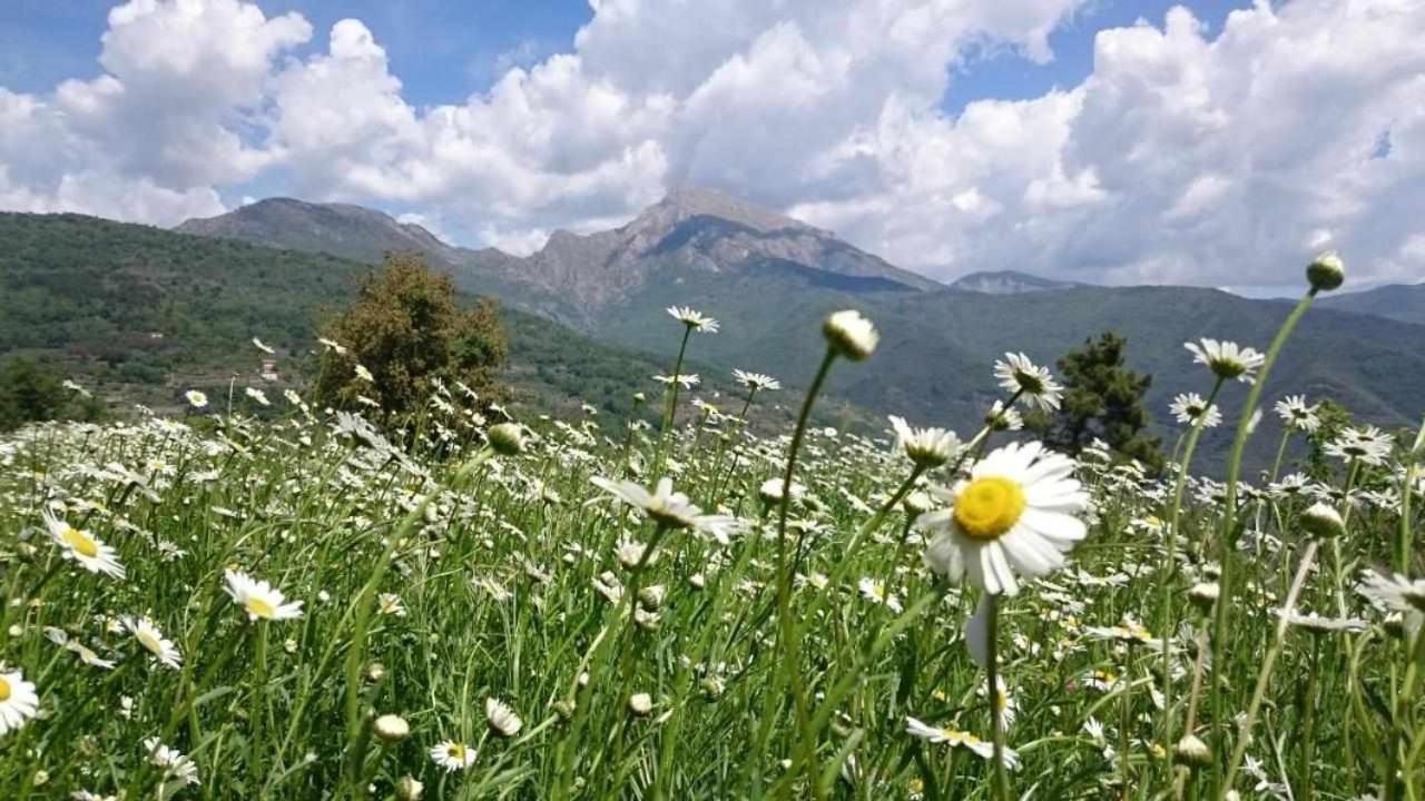 פיניה Agriturismo Al Pagan מראה חיצוני תמונה