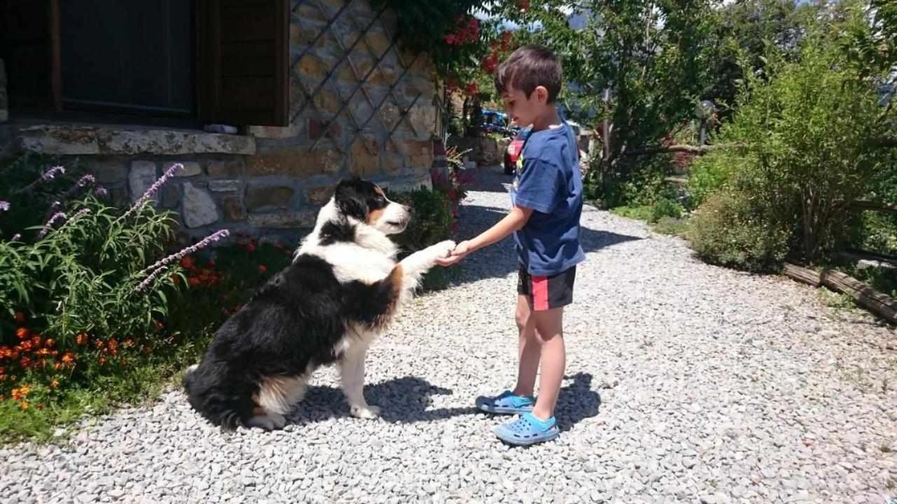פיניה Agriturismo Al Pagan מראה חיצוני תמונה